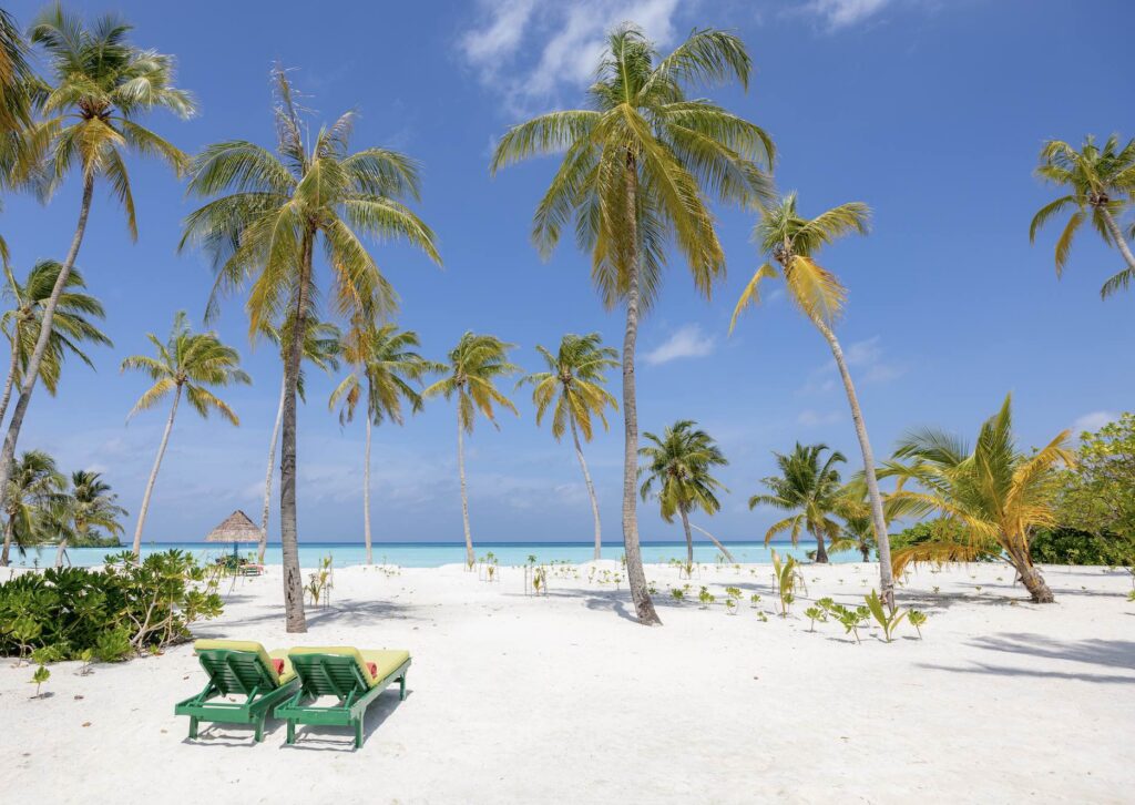 Maldive